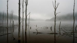 Russia opens public hearings for Nizhne-Zeyskaya hydropower plant project