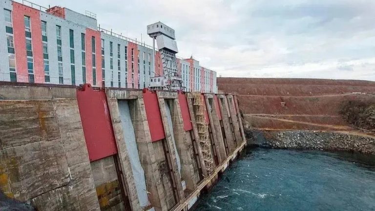 Russian court orders hydro operator to assess Arctic fish damage